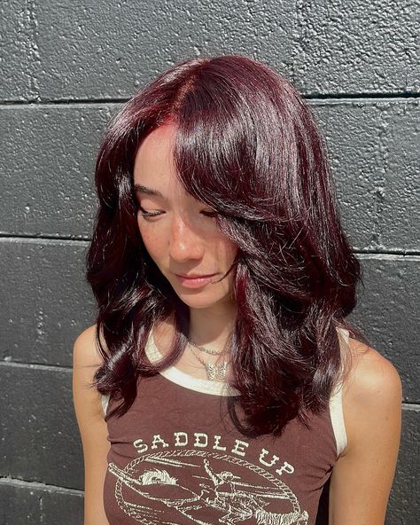 🍒🖤 BLACK CHERRY 🖤🍒 - - - #haircolor #redhair #blackcherry #blackcherryhair #blackcherryhaircolor #oligo #oligocolor #blowout #denver #denverhair #colorado #englewoodco #denversalon #denverhairdresser #hair #denverhair #coloradohair #denverhairstylist #colorhousedenver #littletoncolorado #littletonhairstylist Root Hair Dye, Black Cherry Hair Color, Black Cherry Hair, Littleton Colorado, Black Cherry, Hair Dye, Dyed Hair, Hair Inspo, Red Hair