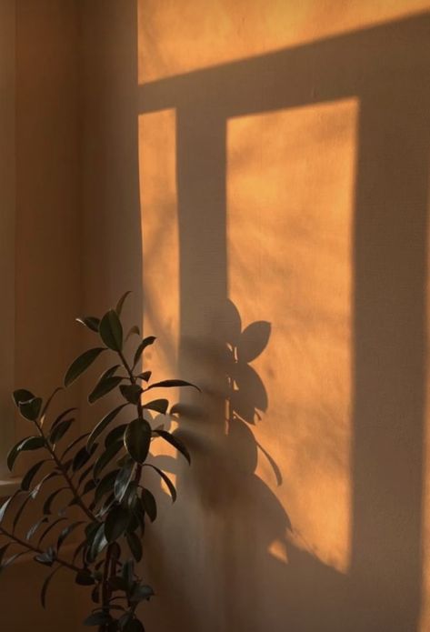 Sun Shining Through Window, Golden Hour Aesthetic, Black Phone Wallpaper, Instagram Frame, Aesthetic Photography Nature, Character Wallpaper, Minimalist Wallpaper, Alam Yang Indah, Brown Aesthetic