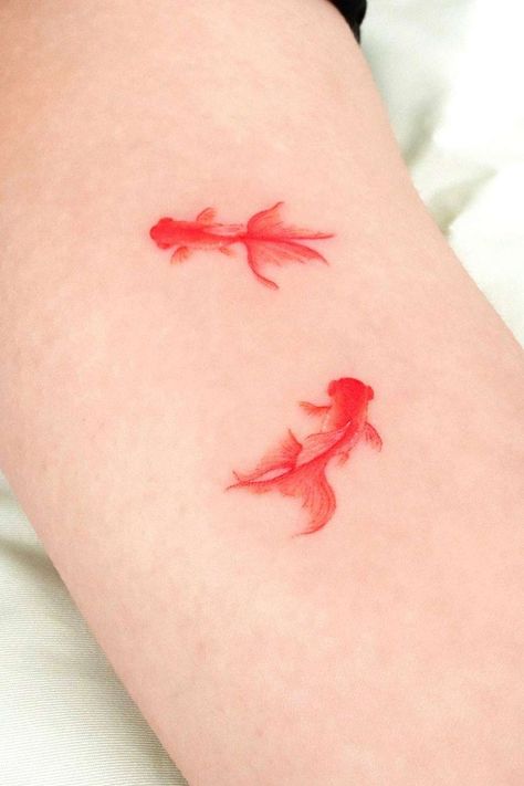 Minimalist Fish Tattoo, Small Colorful Tattoos For Women, Betta Tattoo, Harry Potter Tattoo Ideas, Goldfish Tattoo, Small Colorful Tattoos, Potter Tattoo, Korean Tattoos, Harry Potter Tattoos