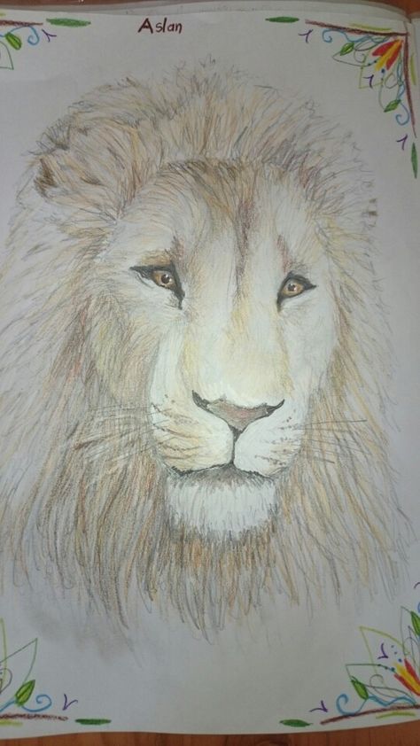 Aslan from Narnia by Anneli du Plessis. Aslan Narnia Drawing, Narnia Drawings, Narnia Lion, Lion Witch Wardrobe, Narnia Movies, Witch Wardrobe, William Moseley, Du Plessis, Classical Education