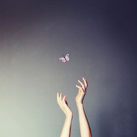 Little wonders - Anja Stiegler Hands Aesthetics, Photography Hands, Sky Hand, Hand Photography, Computer Art, Creative Drawing, Instagram Photography, Double Exposure, Color Therapy