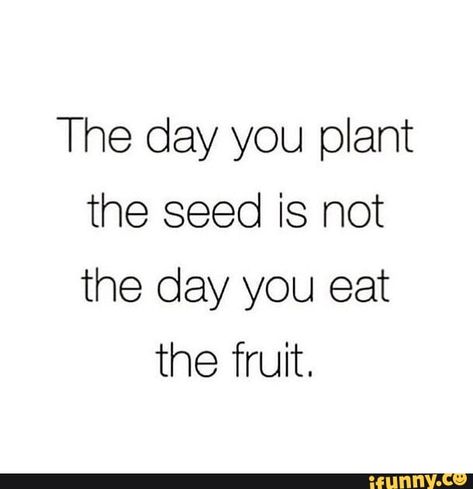 The day you plant the seed is hot the day you eat the fruit. – popular memes on the site iFunny.co #inspiration #artcreative #motivational #quotes #the #day #plant #seed #eat #fruit #pic Growing Quotes, Team Building Quotes, Funny Text Posts, Self Improvement Quotes, Eat Fruit, Dream Quotes, Leap Of Faith, Marketing Quotes, Inspirational Thoughts