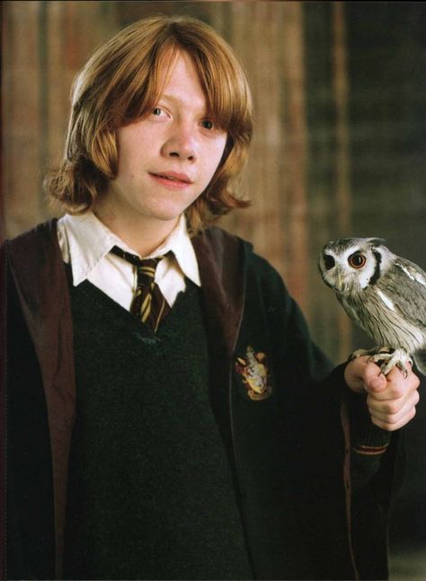 Increíbles datos que probablemente no sabías de Harry Potter Rupert Grint Ron Weasley, Harry Potter Wiki, Glume Harry Potter, Ron Hermione, Ronald Weasley, Harry Potter Ron, Buku Harry Potter, The Goblet Of Fire, Images Harry Potter