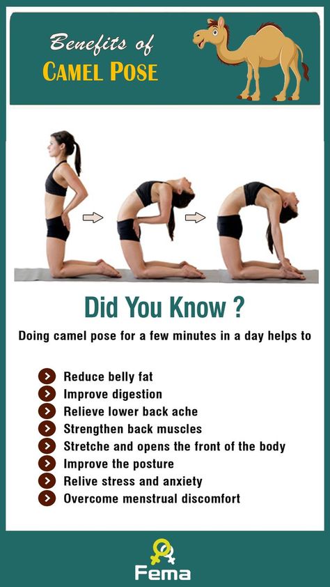 Flat Stomach Yoga Poses, Digestion Poses, Stressed Belly Fat Workout, Yoga Digestion, Strengthen Back Muscles, Strengthen Back, Camel Pose Yoga, Yoga For Digestion, Yoga Poses For Digestion