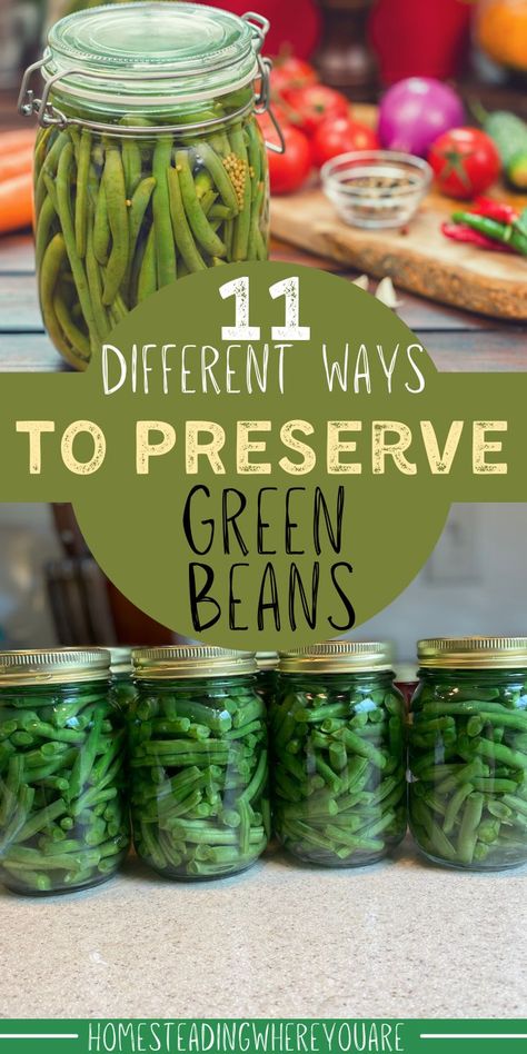 Do you have more fresh green beans from your garden than you know what to do with? You aren't alone. The last thing you want to do is give them away or - god forbid - toss them. Here are 11 different ways to preserve green beans; some of them are unique and different than things you've tried before! How To Preserve Green Beans, Harvesting Green Beans, Canning Green Beans In The Oven, Green Bean Canning Recipes, Preserve Green Beans, Dried Green Beans, Dehydrated Green Beans, Pressure Canning Green Beans, Preserving Green Beans