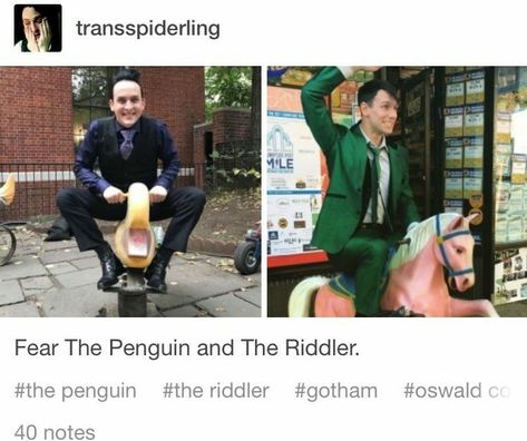 Gotham Memes, Gotham Show, Penguin And Riddler, Jerome Gotham, Robin Taylor, Penguin Gotham, Gotham Cast, Gotham Tv Series, Gotham Series