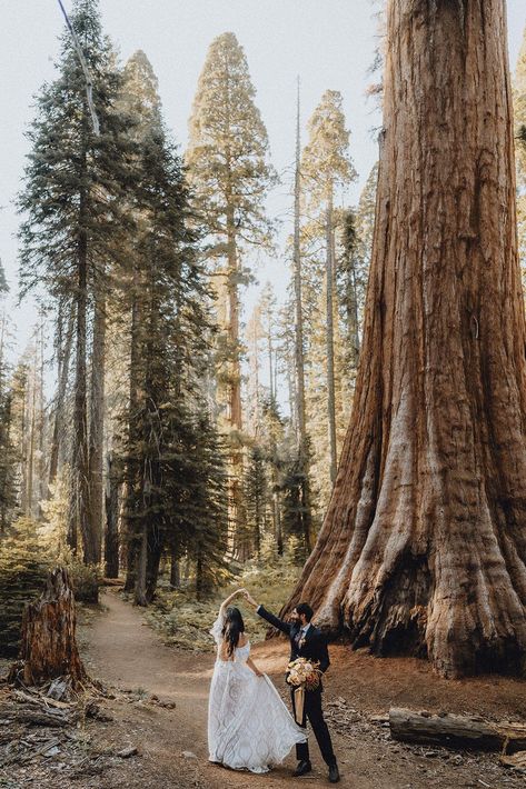 Couple twirls in Sequoia National Park during elopement | California elopement photographer | Summit and Sur Photography Sequoia National Park Elopement, Sequoia Elopement, Sequoia Wedding, Elopement California, Manifest Board, Giant Sequoia Trees, Sequoia Tree, Elopement Announcement, Kings Canyon National Park