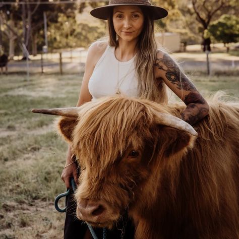 Meet the loving family behind @rhanzbarn 🤠 Rhani & Grant run this beautiful farm located in the beautiful hills of Bullsbrook. This coming Sunday marks the first of our Highland Cow Mini Sessions and we can't wait to share this incredible experience with you ❤️🐮 #rhanzbarn #perthfamilyphotography #perthfamilyphotographer #perthminisessions #perthphotographer #highlandcows #Perth highlandcows #experienceperth #perthisok Highland Cow Photoshoot, Cow Photoshoot, Highland Cow Mini, Cow Photos, Highland Cows, Beautiful Farm, Loving Family, Mini Session, Mini Sessions