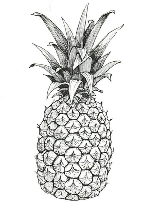 Pineapple Coloring Pages Drawings Of Pineapples, Pineapple Outline Drawing, Pineapple Coloring Page, Pineapple Sketch, Pineapple Drawing, Sunset Canvas Painting, Shading Drawing, Funny Vinyl Decals, Prismacolor Art