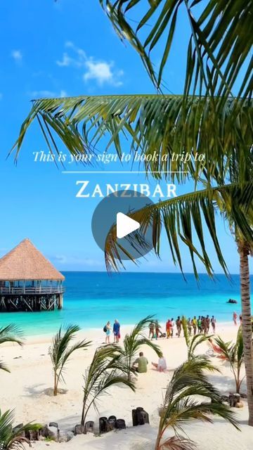 ZANZIBAR ISLAND 🇹🇿 on Instagram: "ZANZIBAR QUESTIONS - FREQUENTLY ASKED ⚠️ | 🎥 [tik tok] lucia_kartal Zanzibar frequently asked questions, or simply put Zanzibar FAQs, are some of the questions that arise in most travellers’ minds when planning for a Zanzibar safari holiday, or are the most asked questions to travel planners and tour operators during the planning process of a safari to Zanzibar. Zanzibar Island is one of the most spectacular islands in the world with so much to offer to touri Zanzibar Island, Safari Holiday, Zanzibar Beaches, Drink Alcohol, Most Asked Questions, Island Vibes, Tour Operator, Planning Process, Africa Travel