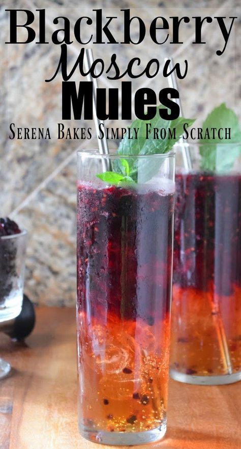 Blackberry Moscow Mules are a summertime favorite cocktail recipe from Serena Bakes Simply From Scratch. Blackberry Mule, Porch Drinks, Moscow Mules, Moscow Mule Recipe, Mule Recipe, Popular Drinks, Fruit Cocktails, Exotic Food, Alcohol Drink Recipes