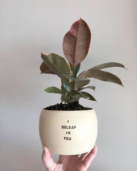 My Handmade Ceramic Planters, Made In Australia & Shipped Worldwide Tattoo Plant, Plant Puns, Plant Pot Design, Handmade Ceramic Planters, Plant Pot Diy, Plant Crafts, Painted Pots Diy, Painted Plant Pots, Tanah Liat