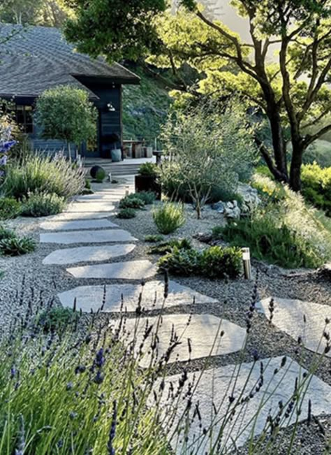 Mediterranean Garden Design, Gravel Garden, Coastal Gardens, Stone Path, Have Inspiration, Front Porch Ideas, Mediterranean Garden, Home Landscaping, Garden Landscape Design