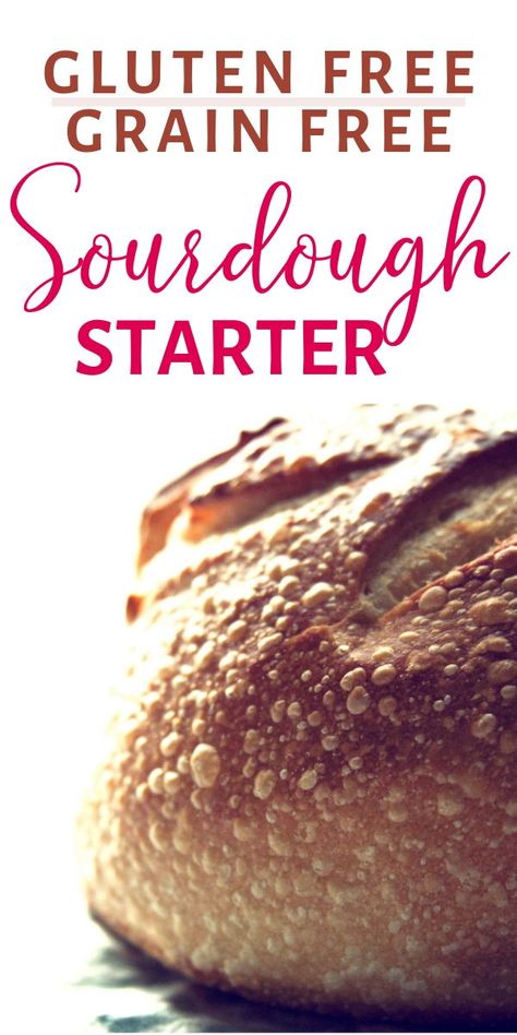 Gluten Free Sourdough Starter, Gluten Free Sourdough Bread, Gluten Free Sourdough, Bread Starter, Flour Alternatives, Sourdough Starter Recipe, Gluten Free Grains, Grain Free Recipes, Gf Recipes