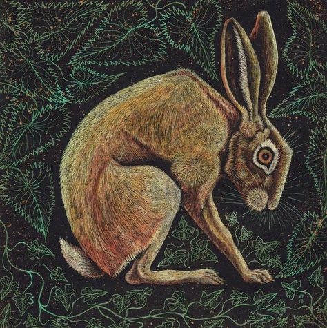 Hare Sketch, Linda Kemp, Hare Drawing, Hare Pictures, Hare Animal, Hare Illustration, Magick Art, Spring Bunnies, Pagan Art