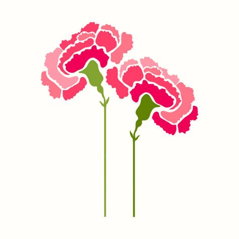 6,295 Carnation Flower Illustrations & Clip Art - iStock Carnation Illustration, Carnation Plants, Carnation Flowers, Garden Mural, Flower Illustrations, Red Carnation, Flower Stock, Flowers Illustration, Popular Flowers