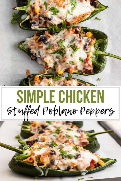 Chicken Stuffed Pablo Peppers, Chicken And Poblano Peppers, Chicken And Pablano Pepper, Pablano Pepper Recipes Chicken, Stuffed Poblano Pepper Recipes Chicken, Stuffed Pablo Peppers With Chicken, Stuffed Poblano Peppers Recipe, Poblano Stuffed Peppers, Poblano Pepper Recipes Chicken