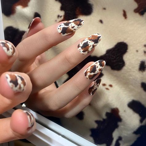 Black And Brown Cow Print Nails, Brown Cow Print Nail Designs, Cow Print Nails Brown, Brown Cow Nails, Brown Cow Print Nails, Cowgirl Nails, Rodeo Nails, Cow Print Nails, Cowboy Nails