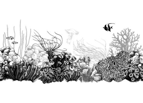 Coral Reef Drawing, Coral Tattoo, Sea Life Tattoos, Underwater Cartoon, Ocean Plants, Underwater Background, Underwater Plants, Sea Illustration, Sea Plants