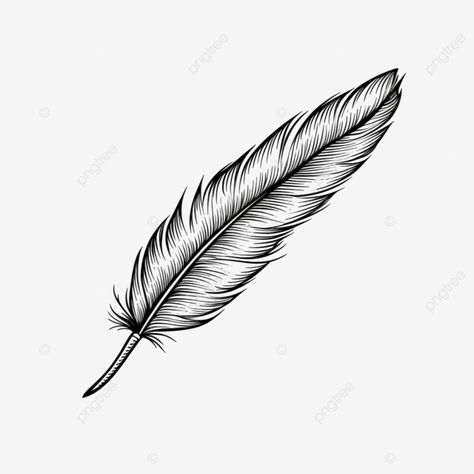 feather of journalism line drawing Feather Drawing Pencil, Feather Png, Feather Outline, Ad Drawing, Wing Drawing, Feather Drawing, Ig Highlights, Feather Art, Transparent Image