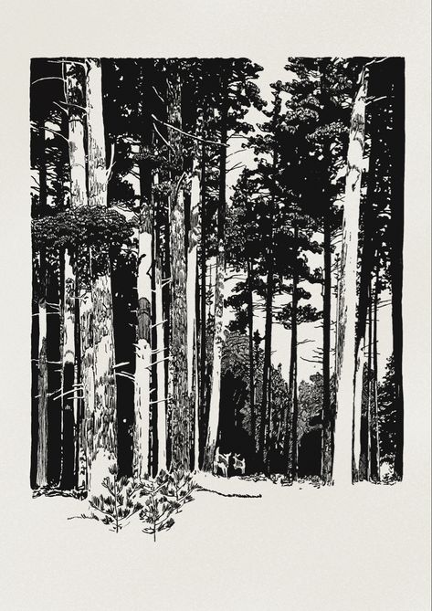 Manga Forest Black And White, Ink Illustrations Forest, Forest Illustration Black And White, Black Forest Art, Forest Drawing Black And White, Pine Forest Drawing, Landscape Pen Drawing, Forest Ink Drawing, Discover Inktober