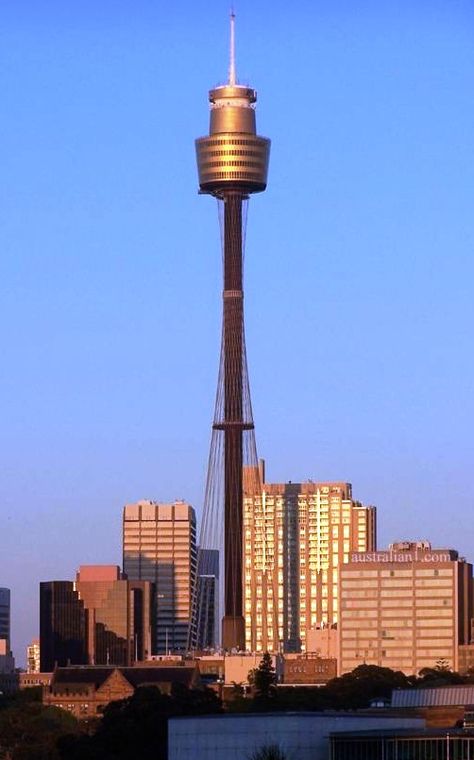 Sydney Tower, Sydney, Australia #yankinaustralia #australia Sydney Tower, برج العرب, Sydney Hotel, Sydney City, Canberra, Commonwealth, Australia Travel, Tasmania, Sydney Australia