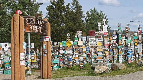 Sign Post Forest Indoor Ice Skating, Haines Alaska, All About Canada, Alaska Highway, Yukon Territory, Aurora Borealis Northern Lights, Downhill Skiing, Northwest Territories, Sign Post