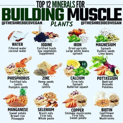 Let’s talk about micronutrients. For proper nutrition and to build muscle, we need more than fats, carbohydrates, and protein. We need… Micronutrients Foods, Liver Healthy Foods, Alkaline Diet Plan, Spinach Seeds, Vegan Muscle, Detox Your Liver, Sea Vegetables, Dry Coconut, Bean Seeds