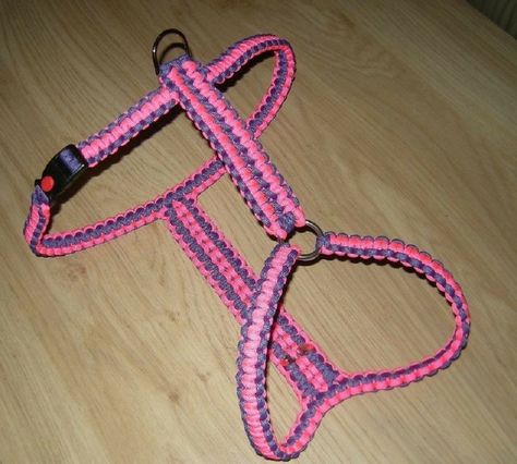 Diy Dog Harness, Paracord Projects Diy, Paracord Dog Leash, Paracord Braids, Cords Crafts, Paracord Dog Collars, Crate Diy, Paracord Diy, Paracord Knots