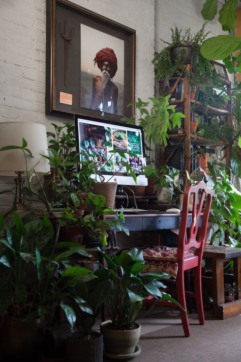 Living with 670 Plants in a Brooklyn Apartment Indoor Gardening Supplies, Brooklyn Apartment, Decorating Home, Indoor Gardens, Interior Plants, Room With Plants, Home Decorating Ideas, Home Wallpaper, Outdoor Plants