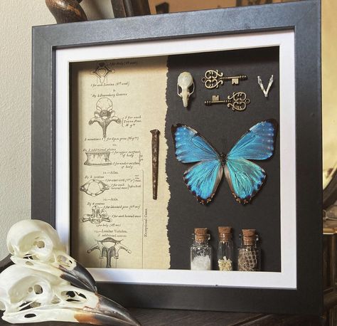 Living Room Witchy, Bedroom Witchy, Apartment Dark, Deer Skull Art, Oddities Decor, Taxidermy Decor, Halloween Shadow Box, Witchy Home, Home Decor Apartment