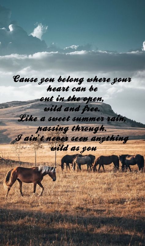 Country Screen Savers, Cody Johnson Quotes Wallpaper, Country Song Wallpaper, Yellowstone Wallpaper Iphone, Wild As You Cody Johnson, Cody Johnson Aesthetic, Country Quotes To Live By, Cowgirl Wallpaper Iphone Country, Country Senior Quotes