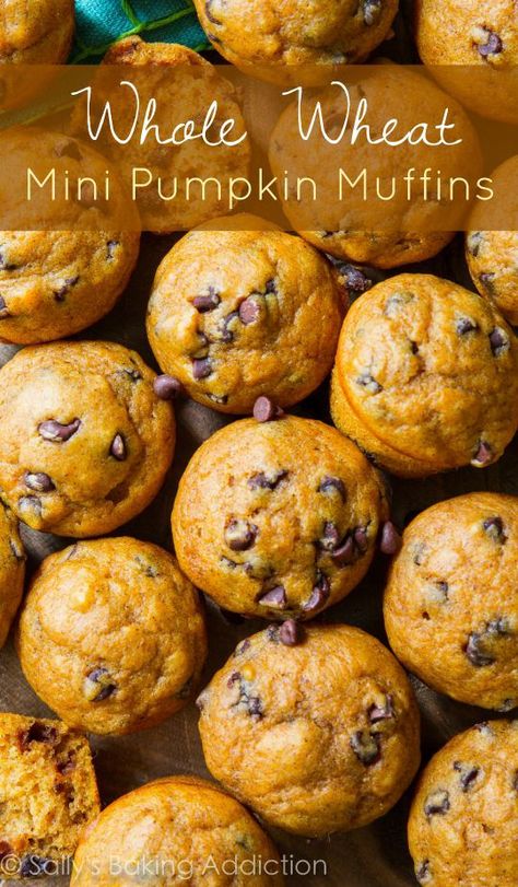 Mini Pumpkin Muffins, Healthy Muffin, Wheat Recipes, Pumpkin Chocolate Chip Muffins, Sally's Baking, Pumpkin Chocolate Chip, Bakery Supplies, Cassava Flour, Pumpkin Chocolate Chips