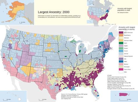 Demography of the United States - Wikipedia Ancestry Map, Genealogy Map, Remote Sensing, Ellis Island, Genealogy Research, Family Genealogy, Us History, Historical Maps, World History