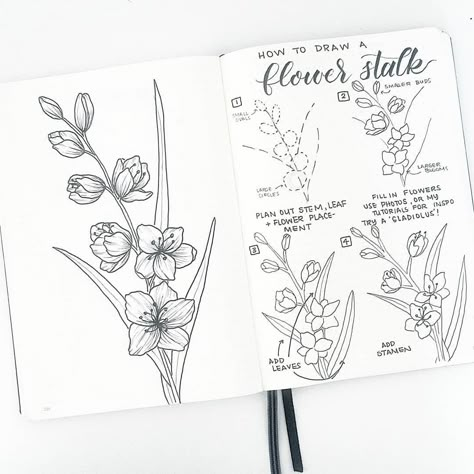 50 amazing doodle "How to's" for your bullet journal | My Inner Creative Draw A Flower, How To Draw Flowers, Botanical Line Drawing, Draw Flowers, Flower Drawing Tutorials, Floral Doodle, Doodle Art Journals, Flower Sketches, Floral Drawing