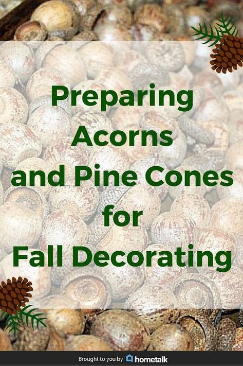 Project Guide: Preparing Acorns and Pine Cones for Fall Decorating - Free and readily available, natural elements are a staple in DIY fall decorating. Pine cone... Light Up Canvas, Easy Fall Wreaths, Stepping Stones Diy, Acorn Crafts, Mesh Wreath Tutorial, Easy Diy Wreaths, Globe Decor, Cones Crafts, Pine Cone Crafts