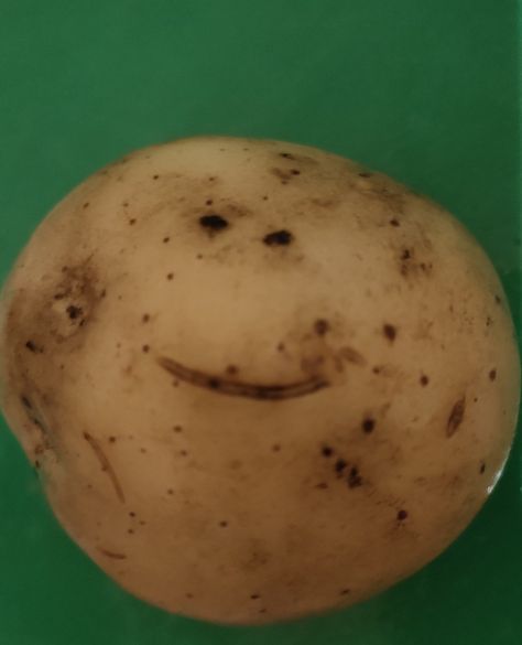 Real potato can smile:) Happy Potato, Just For Laughs Videos, Food Food, Hair Inspo, Potato, Canning, Hair, Quick Saves