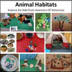 STEM learning for ages 3 - 6. Science projects, art, songs, games, and books about animal habitats. Types Of Habitats, Habitat Activities, Planets Activities, Habitats Projects, Animal Habitat, Hamster Habitat, Different Types Of Animals, Animal Classification, Animal Adaptations