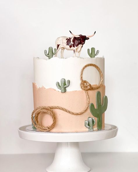 Western Theme Cake Ideas, How The West Was One Birthday Cake, Cowboy Cake Ideas, Western Smash Cake, Rodeo Cake Ideas, 1st Rodeo Birthday Cake, Western Cake Ideas, Wild West Cake, First Rodeo Birthday Cake