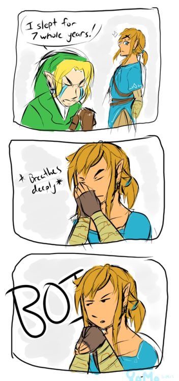 Pfft... Seven years? Please... Botw Zelda, Legend Of Zelda Memes, Zelda Funny, Something Nice, Link Zelda, Zelda Art, Legend Of Zelda Breath, Comic Style, Zelda Breath