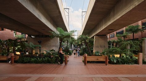 Fish Lane — Richards and Spence Urban Spaces Design, Australian Trees, Melbourne Street, Local Architecture, Timber Buildings, Gallery Of Modern Art, Landscape Elements, Built In Furniture, Urban Park