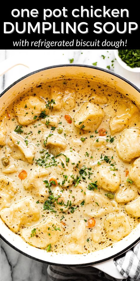 Chicken Pot Pie Soup With Dumplings, Chicken Amd Dumplings Recipes, Creamy Chicken Dumpling Soup, Chicken And Dumplings With Red Lobster Biscuits, Pillsbury Chicken And Dumplings, Creamy Chicken And Dumpling Soup, Chicken And Dumpling Soup, Dumpling Recipes, Chicken Dumpling