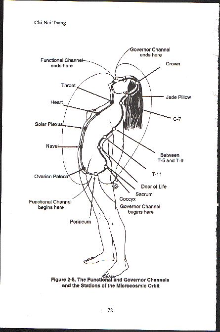 Mantak Chia, Mantak Chia Microcosmic Orbit, Reiki Chi Ball, Taoism Temple, Microcosmic Orbit, 10 Bodies Kundalini, Taoism Beliefs, Healing Love Through The Tao, Polarity Therapy