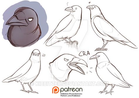 raven reference sheet by Kibbitzer Crows Drawing, Raven Art, Poses References, Daily Drawing, Animal Sketches, Bird Drawings, Drawing Skills, Art Poses, Art Tutorial