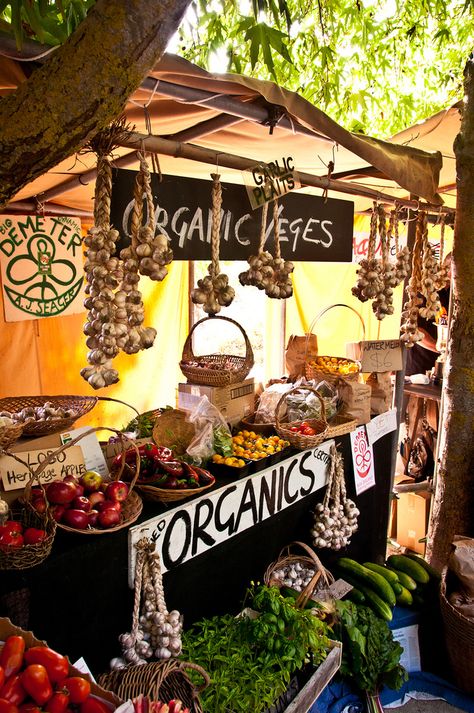 Farmers Market Display, Hawkes Bay, Market Stands, Black Barn, Market Ideas, Market Garden, Farm Market, Market Displays, Garden Harvest