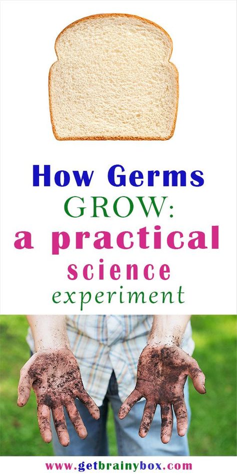 Germs Lessons, Germs Activities, Immune System Activities, Homeschool Science Curriculum, Middle School Lesson Plans, The Scientific Method, Elementary Lesson Plans, Health Activities, Washing Hands