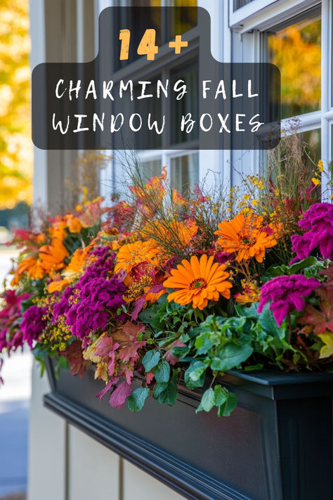 Fall in love with your home’s exterior this season! Click to explore 14 charming window box ideas that capture the essence of fall. 🍁🏡 #FallDecor #WindowBoxes #HomeExterior #AutumnVibes #DecorInspiration Window Boxes For Fall, Autumn Window Boxes, Fall Flower Boxes, Awkward Living Room Layout, Window Box Ideas, Autumn Window, Fall Window Boxes, Outdoor Fall Decor Ideas, Fall Windows