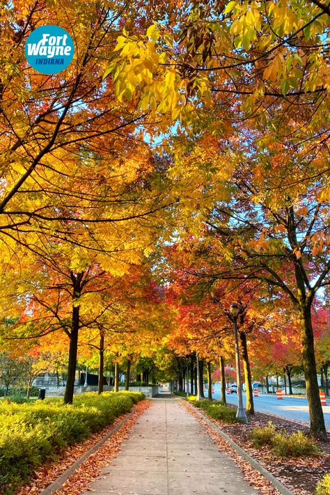 Fall is the best in the Midwest. And no matter what you like best about the fall, Fort Wayne, Indiana is the perfect place for you to celebrate! Harvest Activities, Apple Orchards, Fall Getaways, Wayne's World, Fort Wayne Indiana, Pumpkin Patches, Fall Break, Fall Things, Halloween Autumn