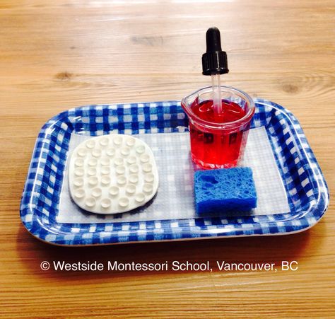 Montessori Practical Life activity - using an eye dropper to transfer water drops. The damp sponge is there, ready to clean up spills. @wmswms (Westside Montessori School, Vancouver, BC) Motor Skills Preschool, Montessori Work, Montessori Trays, Montessori Lessons, Practical Life Activities, Montessori Diy, Montessori Room, Eye Dropper, Montessori Practical Life