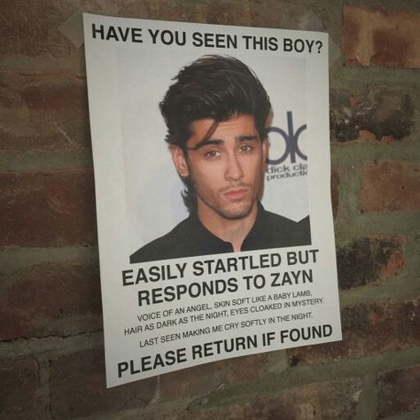 PLEASE RETURN One Direction Jokes, One Direction Images, Zayn Malik Pics, One Direction Humor, This Boy, One Direction Memes, 1d And 5sos, I Love One Direction, 1 Direction